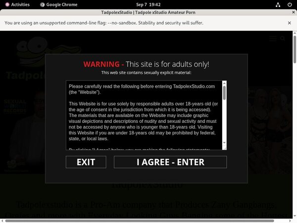 Account Premium Tadpole X Studio Account Premium Tadpole X Studio