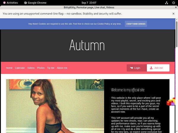 BittyKitty Free Online