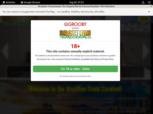 Brazilian Transsexuals Daily Accounts