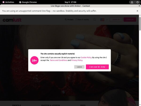 Camlust.com Login Pass