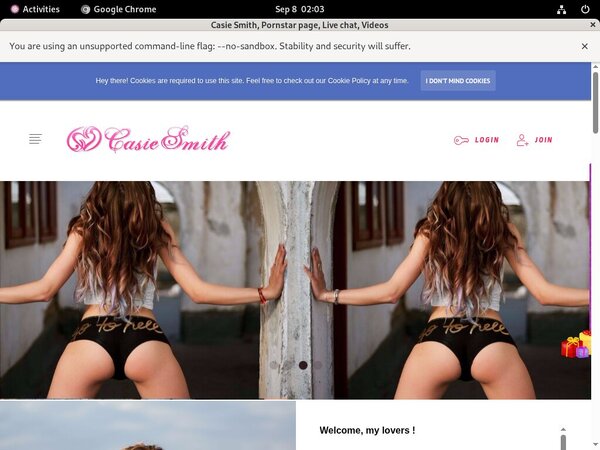 Casiesmith.modelcentro.com Hacked Account