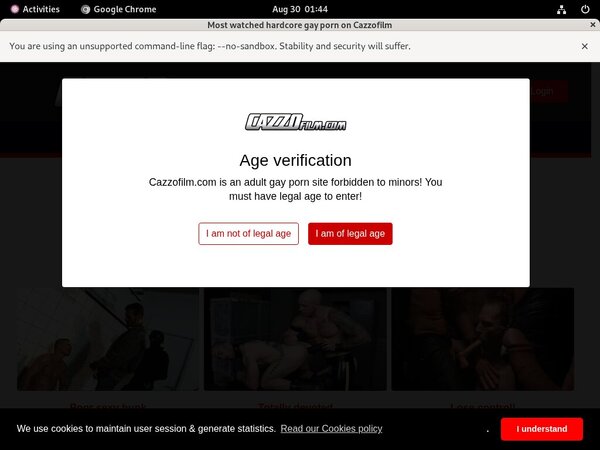 [Image: Cazzo-Checkout-Form.jpg]