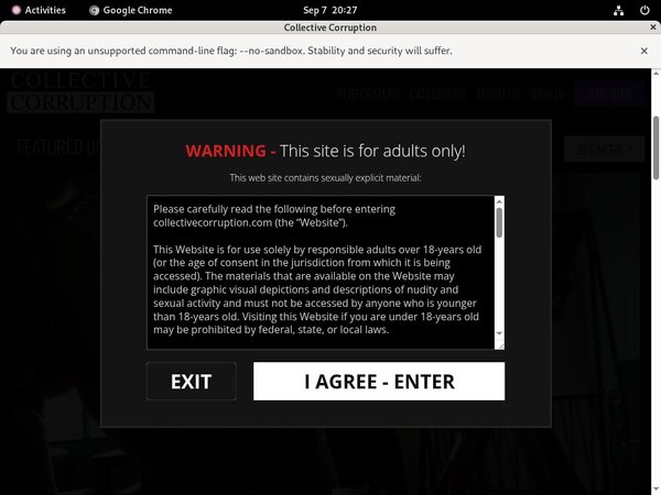 Collectivecorruption.com Website