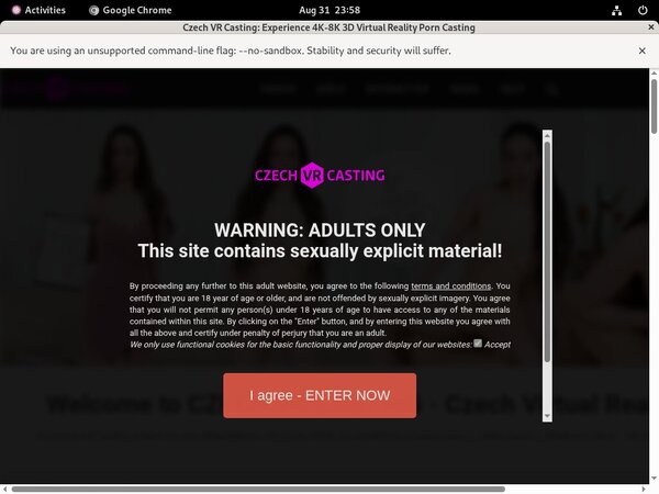 Czech VR Casting Id Password