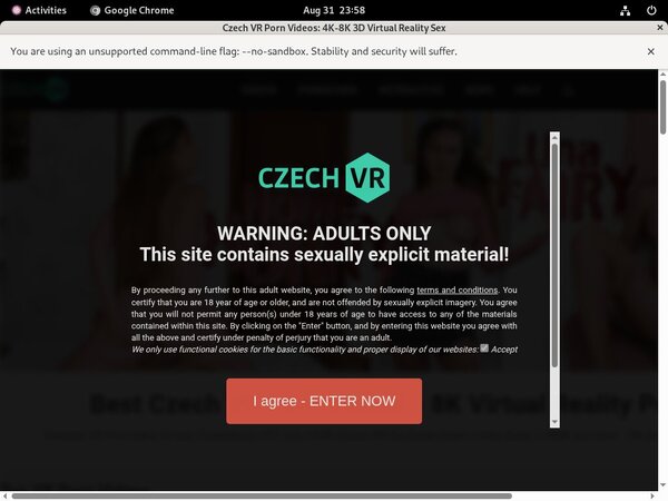 Czechvr Login Passwords