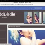 Discount Baddbirdie.modelcentro.com Subscription