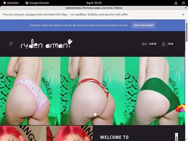 Free Rydenarmani Premium Account