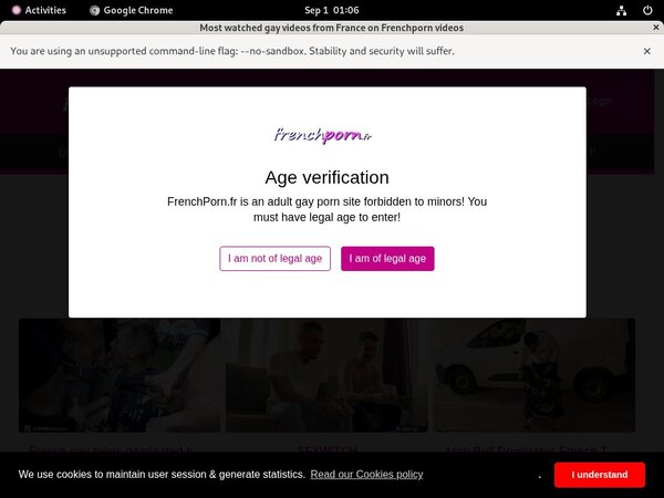 Frenchporn Discount (SAVE 63%)