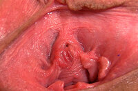 Gape My Pussy Home Page s0