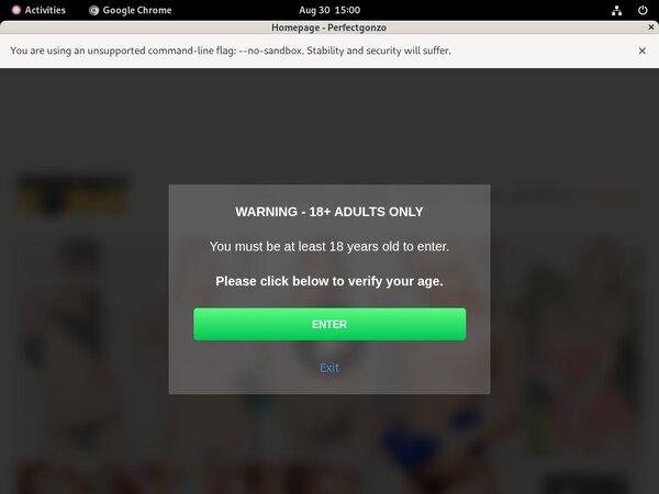 Get Perfectgonzo Day Trial