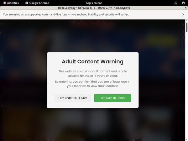 Hello Ladyboy Logins