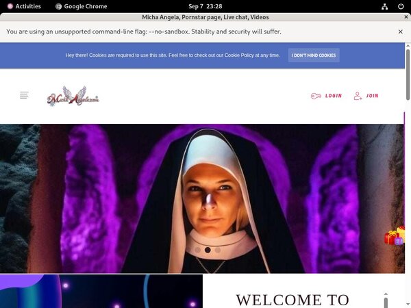How Much Does Michaangela.com Cost