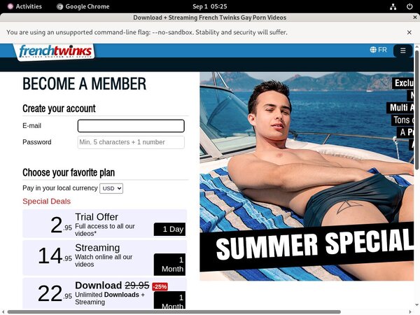 How To Get Into French-twinks.com