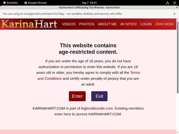 Karina Hart Cost