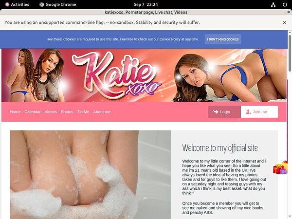 Katexoxo.modelcentro.com Accept Pay Pal