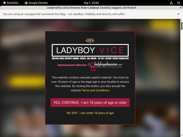 Ladyboy Vice Paypal Sign Up