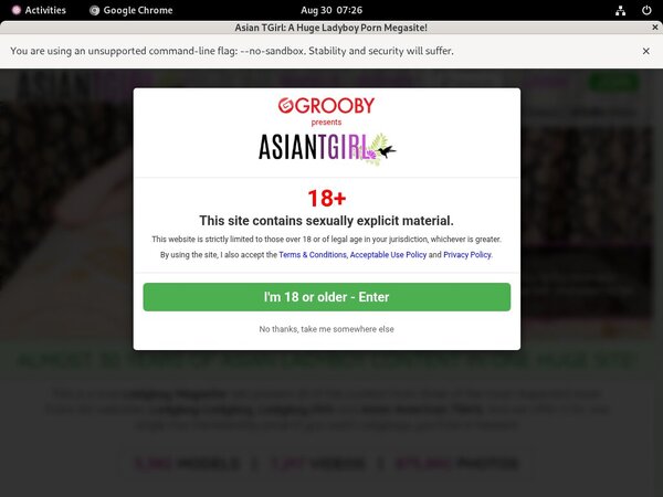 Ladyboy-ladyboy.com Free Preview