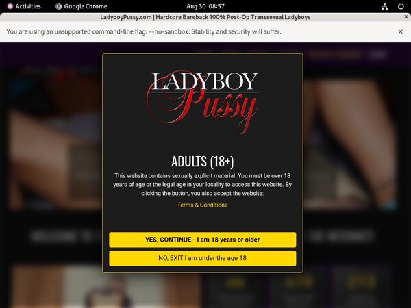 Ladyboypussy Promo Tour