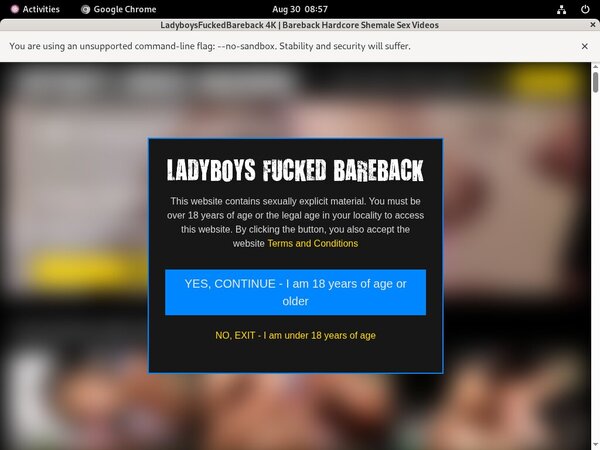 Ladyboysfuckedbareback.com Members Area