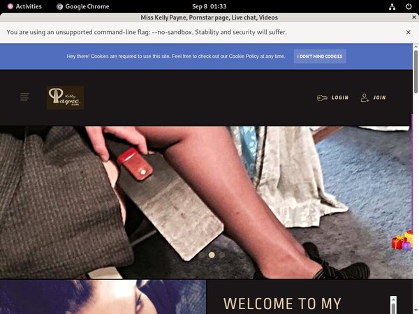 Misskellypayne.modelcentro.com With AOL Account