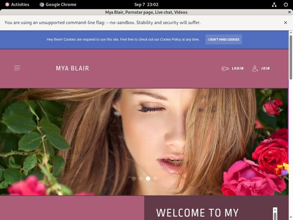 Myablair.modelcentro.com One Year