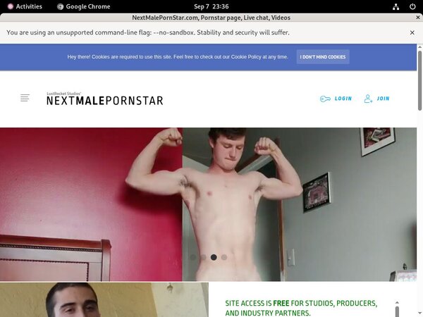NextMalePornStar.com Daily Accounts
