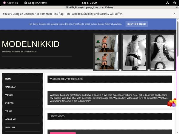 Paypal For ModelNikki