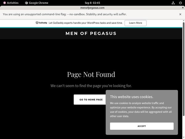 Pegasus_Studios Password List