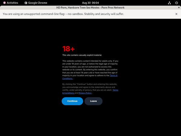 Porn Pros Network Premium Pass