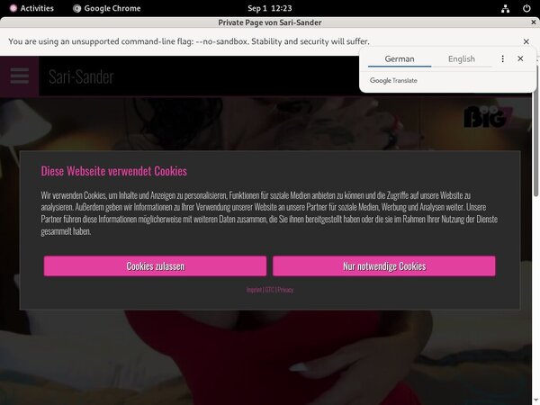 SariSander Free Login