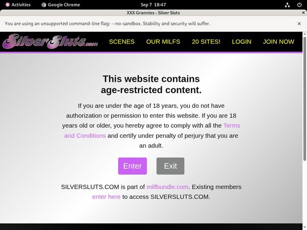 Silver Sluts Porn Pass