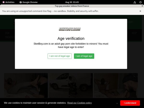 Sketboy.com For Tablet
