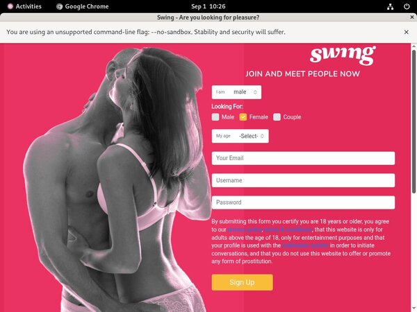 Swing.net Segpay