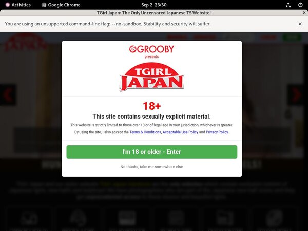 TGirl Japan Pay Pal Account