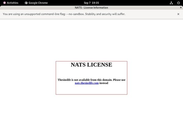 Thesinslife.com Website