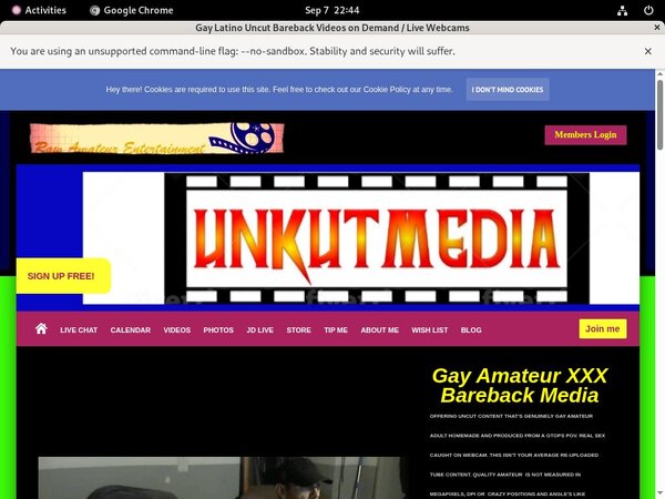 Unkutmedia Porns