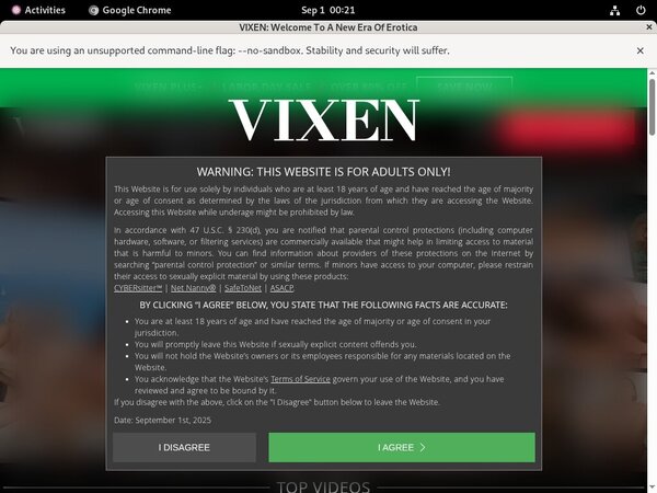 Valid Vixen Passwords