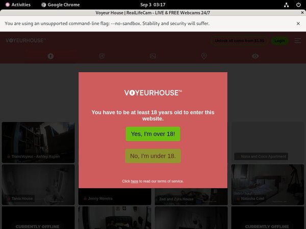 Voyeur House Paysite Review