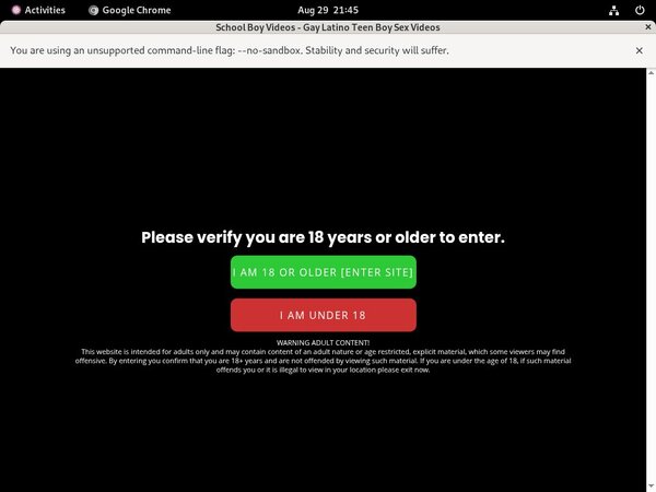 Working School Boy Videos Password
