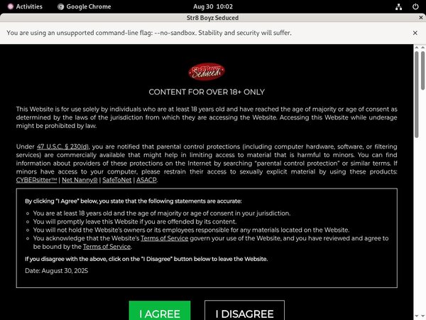 Working Str8boyzseduced.com Account