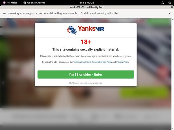 Yanks VR Site Review