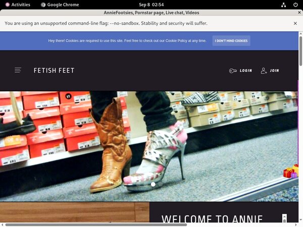 Paypal For AnnieFootsies