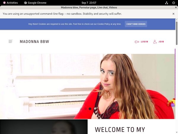 Winniepig.modelcentro.com Preview