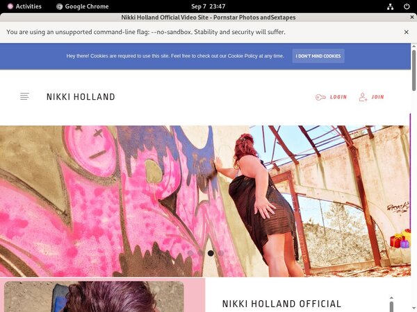 Nikkiholland.video Cam