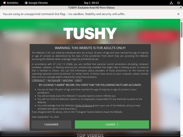 Videos De Tushy
