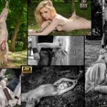 Free Premium Subspace Land Accounts